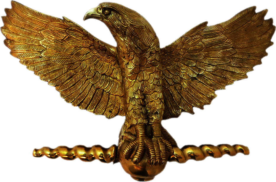 Kings Eagle